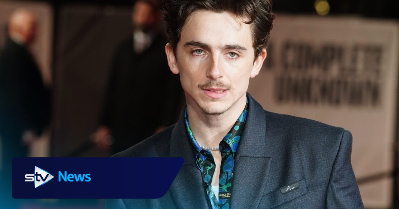 Timothee Chalamet: 'Susan Boyle is one of my top five Brits of all time'