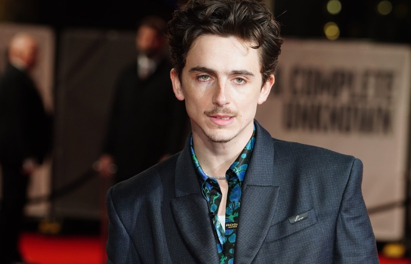 Timothee Chalamet has listed the former Britain’s Got Talent star, Susan Boyle, as one of his top five Brits (Ian West/PA)