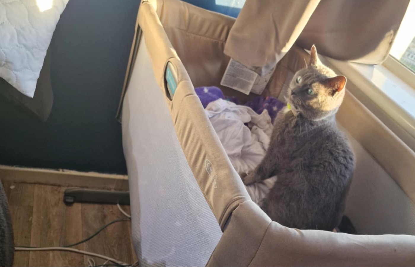 Misty tragically died in the fire.