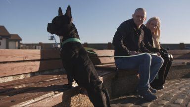 Pets at risk: Families buckle under pressure of rising vet bills