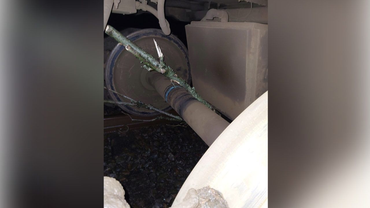 Train hits trampoline and fallen trees cause travel chaos across Scotland during Storm Bram 