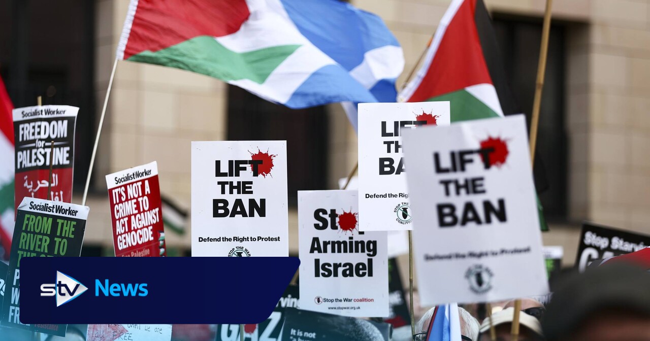 ‘Scores of good people’ arrested on terrorism charges over Palestine Action ban, court hears