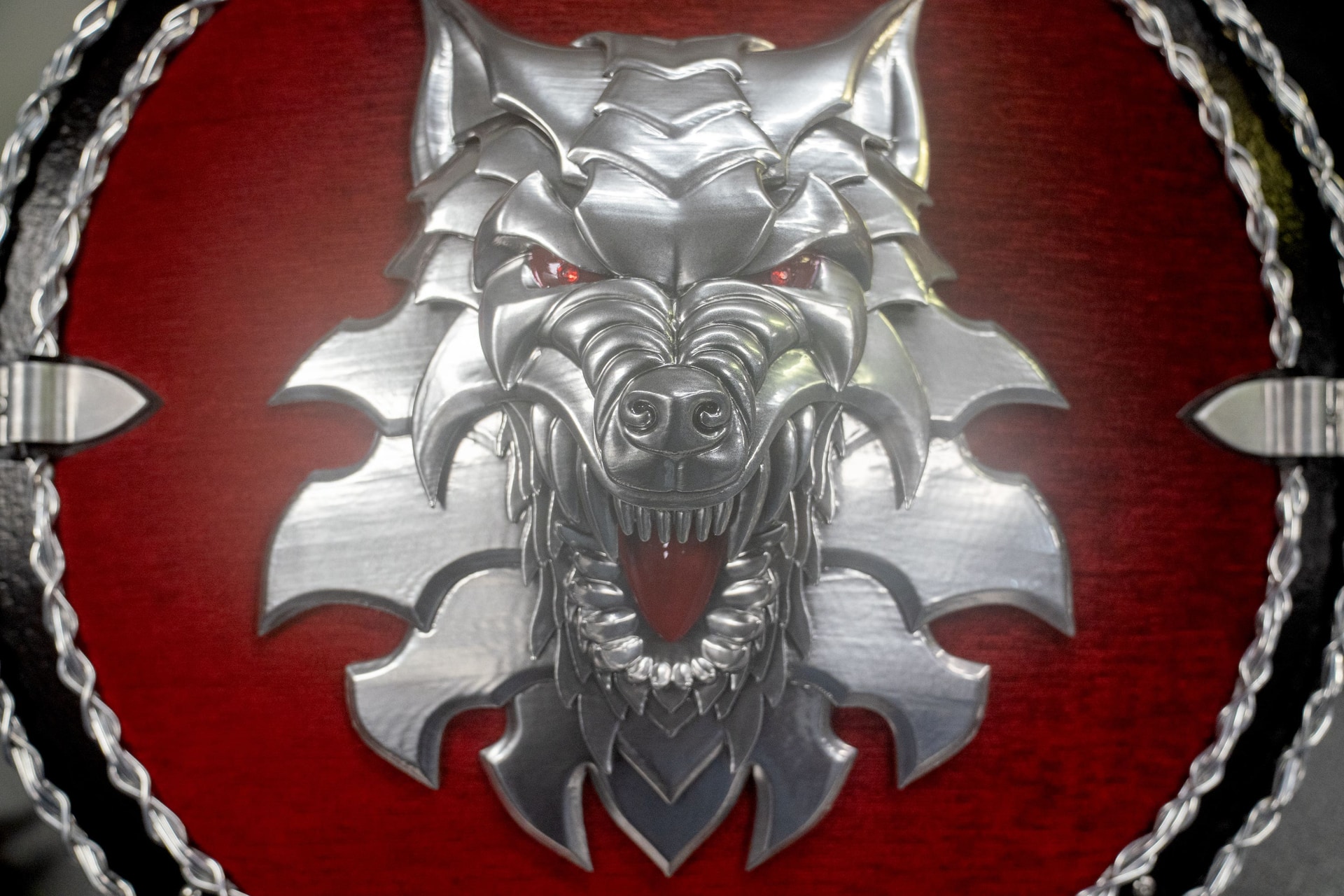 A shield carried by a member of the Jarl Squad 