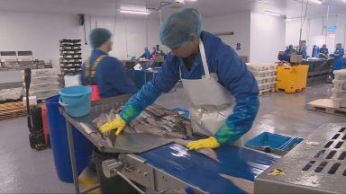 Scottish fish processors issue warning over new EU export paperwork