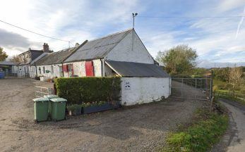 Denny kennel owner left dog with broken jaw and leg for over a month without treatment