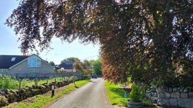 Neighbour’s row over ‘gigantic trees’ dismissed by ministers after 30-year battle