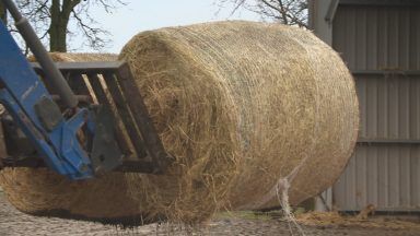 Dry summer and recent cold putting strain on livestock feed supplies
