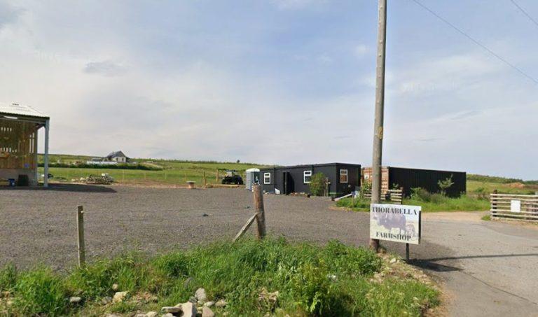 Farm owners ‘absolutely devastated’ after capybaras ‘stolen’ from ...