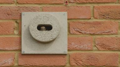 MSPs back law requiring ‘swift bricks’ on all new builds in Scotland