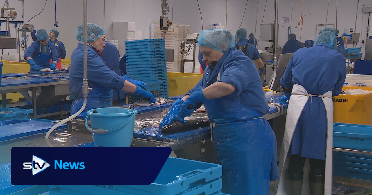 Fish processors warn new EU export paperwork could put jobs at risk