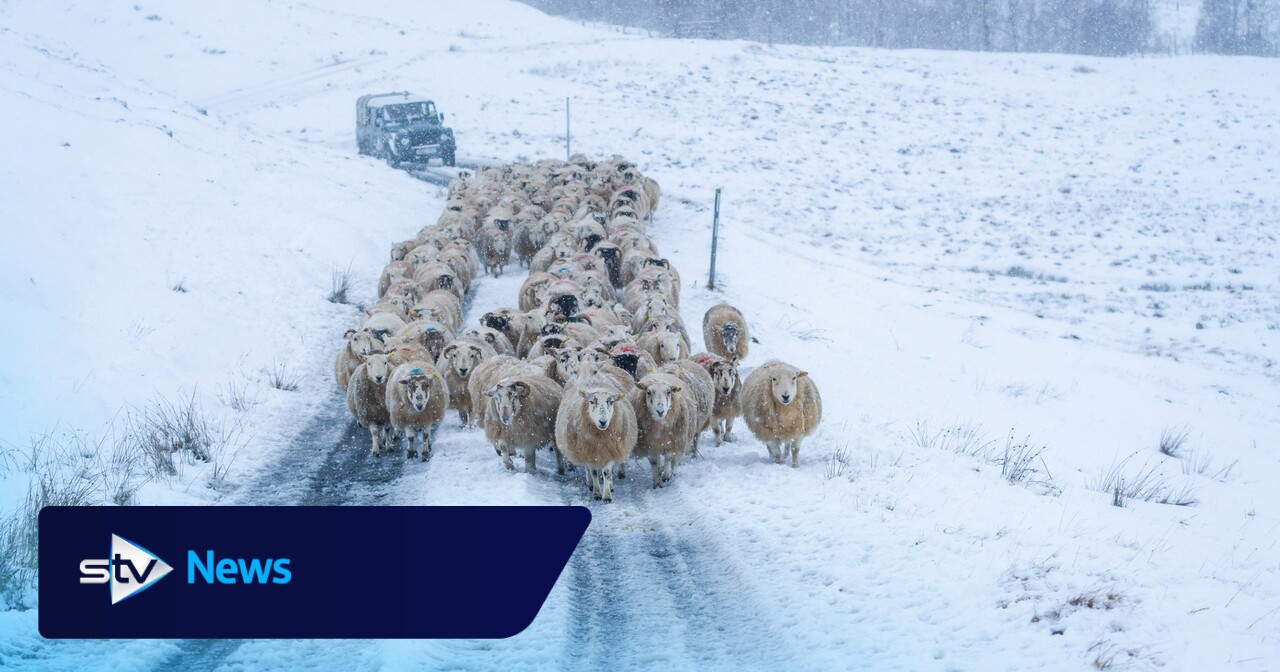 What’s driving the current extreme weather across the Northern Hemisphere?