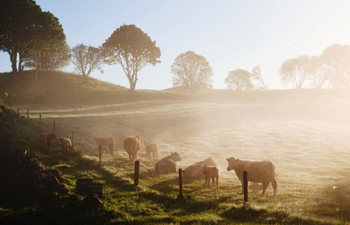 Sean Batty: Here’s something to put a spring in your step – we’re now rapidly gaining daylight