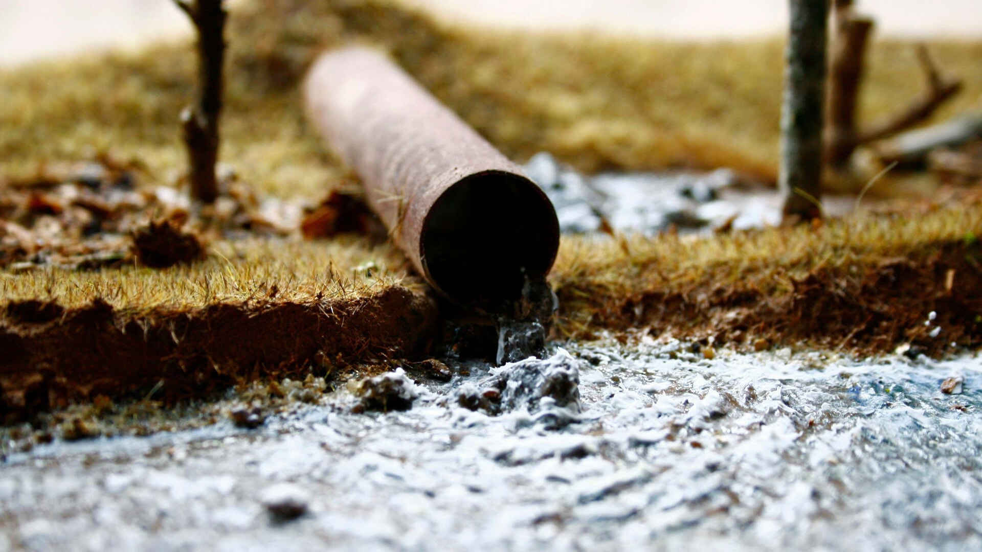 The Lib Dems are calling for greater action on sewage spills