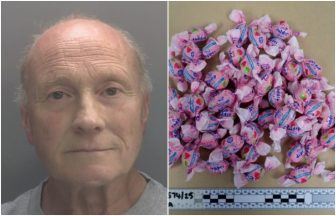 Summer camp leader who drugged and sexually abused boys jailed for more than 23 years