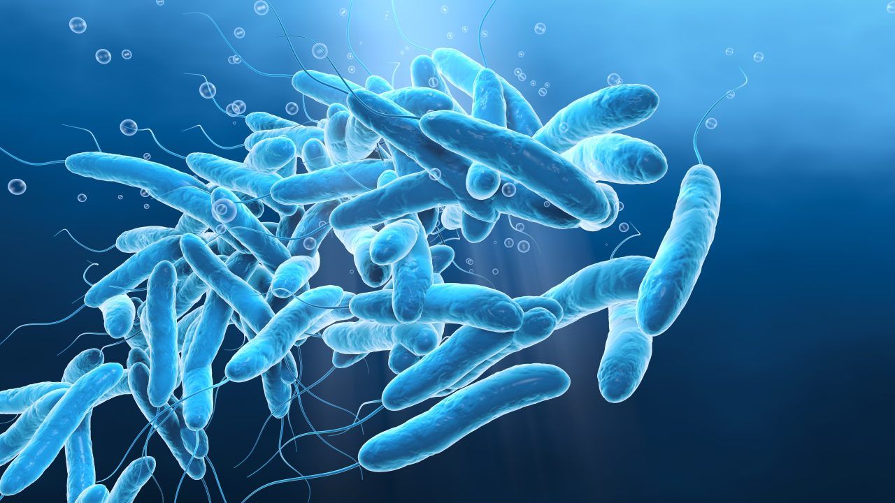 Two Edinburgh GP practices issued with notices over ‘risk of exposure to Legionella bacteria’
