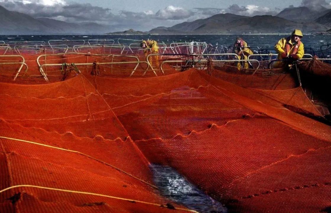 Scotland to send fishing net to Ukraine to defend against Russian drone attacks
