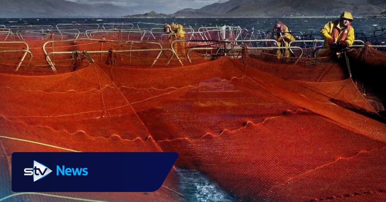 Scotland to send fishing net to Ukraine to defend against Russian drone attacks