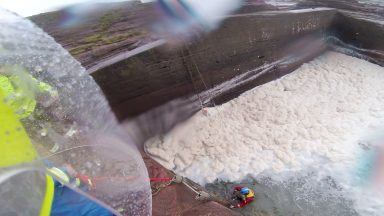 Rescue mission launched after dog plunges from harbour wall into sea 