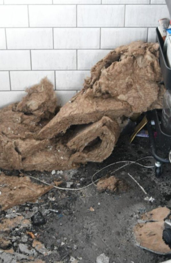 Logan Carlin, 24, started a blaze at the Belle Cheveux beauty parlour in Albert Street, Edinburgh, on March 6, 2025.