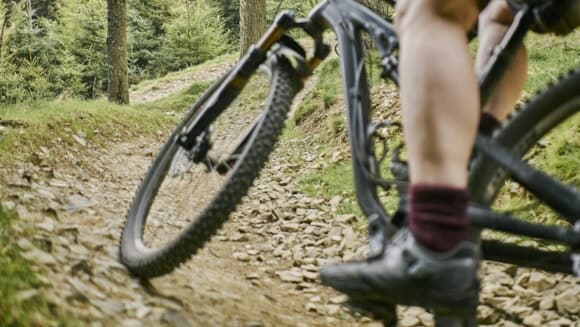 Illegal mountain bike trail in Tweed Valley ‘putting public and environment at risk’