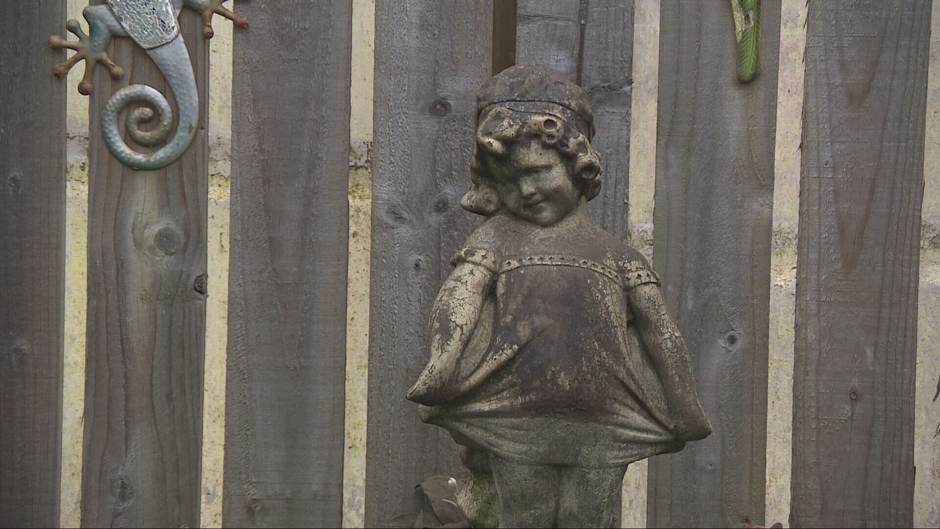 Gardens have been left covered in soot and dust.