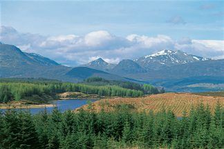 Family of missing walker informed after human remains found on Ben Nevis