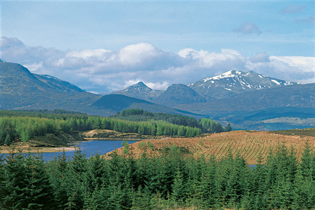 Family of missing walker informed after human remains found on Ben Nevis
