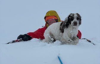 Four hillwalkers and dogs plunge through snow ledge on mountain