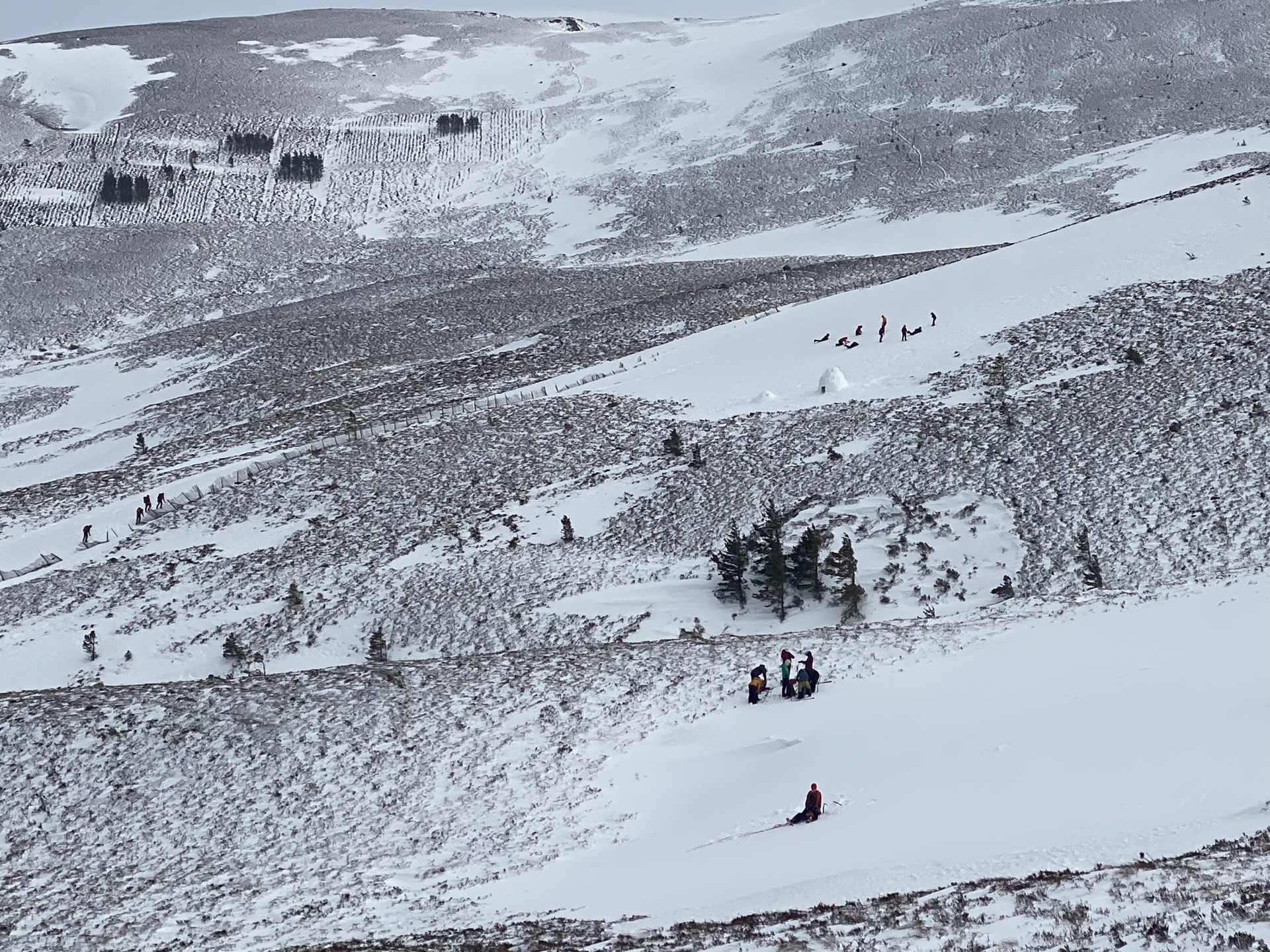 Groups making the most of the snow patches at lower altitudes where it was less windy in the northern Cairngorms on February 19.