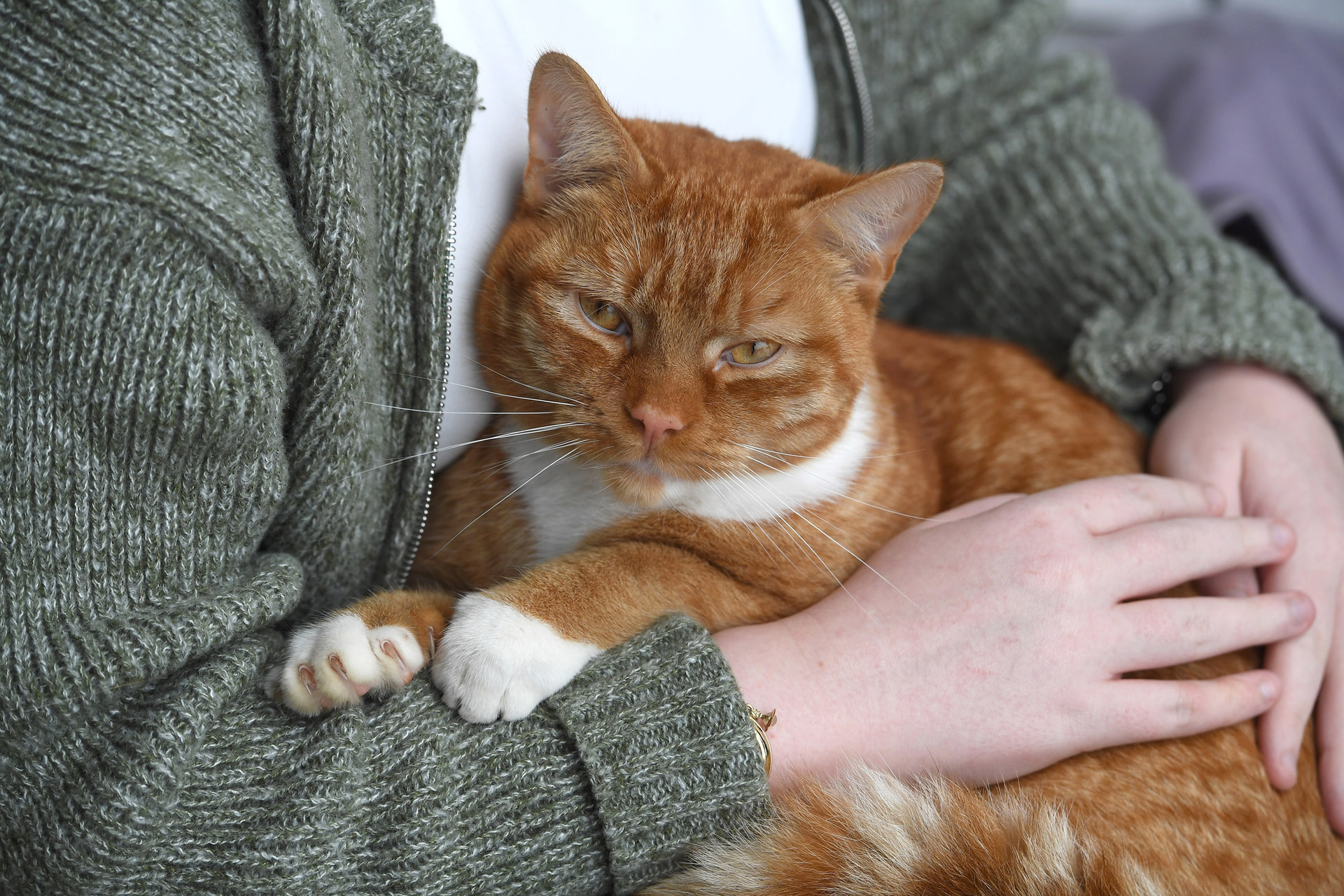 Rebel, not his real name, has been roaming around Glasgow Clyde College’s Cardonald campus, entering lessons and is even alleged to have set off an alarm.