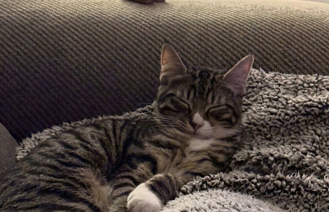 Daisy appears relaxed in her new home