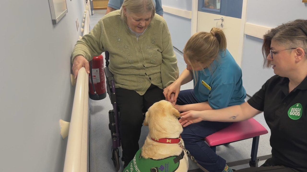 The current image has no alternative text. The file name is: f11e475ab19f10657aada60858960d4e-1771256875.jpeg