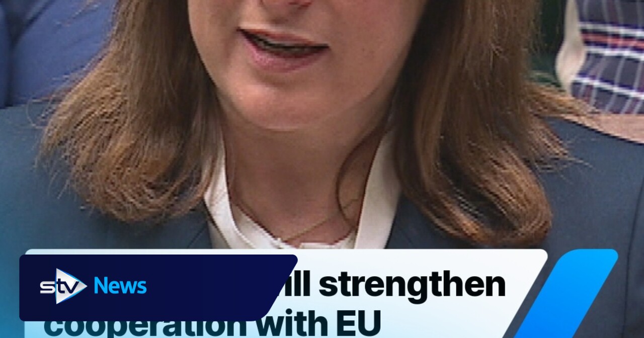 Reeves: ‘We will strengthen cooperation with EU and NATO partners'