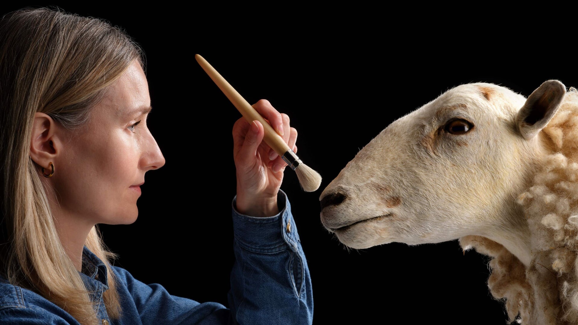 Morag died in 2000 and was previously on display at the National Museum of Scotland