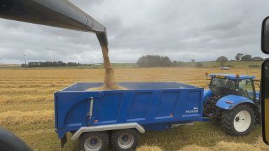 Aberdeen barley exports offer new opportunities for farmers