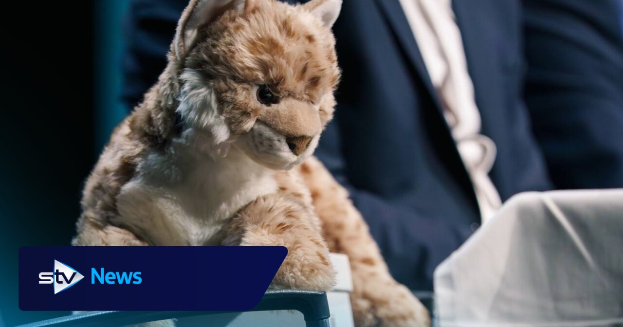 Scottish Conservatives replaced by stuffed toy at election hustings event debating rewilding issues