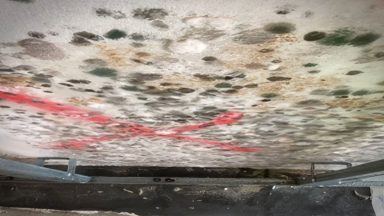 Mould growing inside hospital under construction