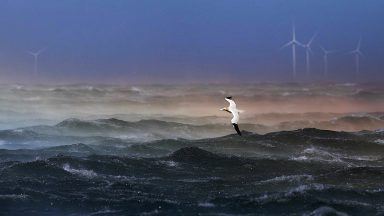 March in ‘lion phase’ with winds up to 100mph battering Scotland