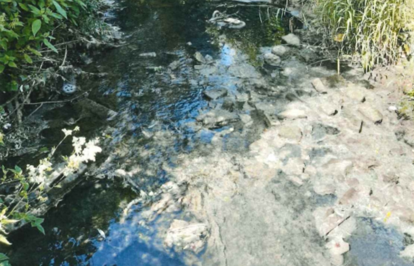 The surface water pipe, used for the drainage of surface and storm water, flows directly into the burn