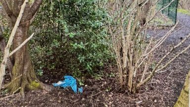 Miniature Bull terrier found dead under holly bush in Edinburgh park