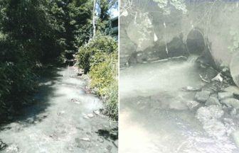 Sausage casing firm Devro Scotland fined £48,000 after 1.8m litres of wastewater seeped into burn