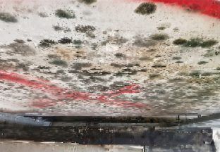 Health risk warning after mould found on walls at new Aberdeen hospital