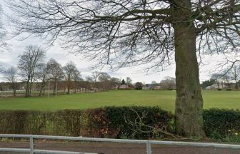 Paedophile who raped girl in Duffus Park in Cupar was previously jailed for seven sex offences