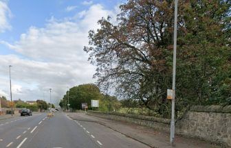 Gun and bullets discovered in wooded area as part of crime gang investigation