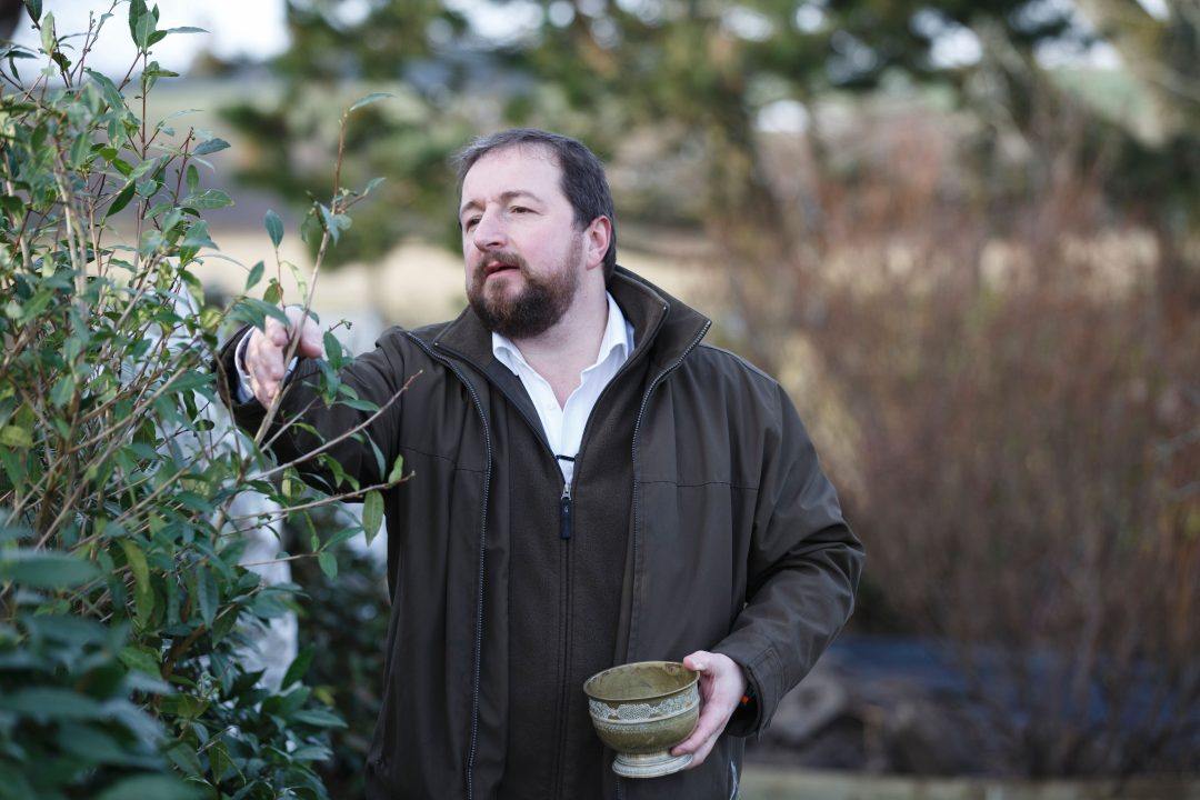 Conman made over £1m selling fake ‘Scottish-grown tea’