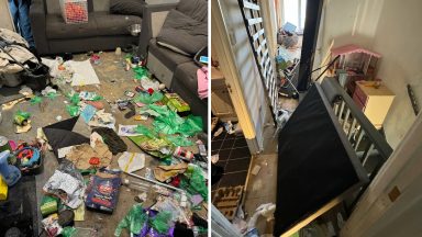 Staffies found surrounded by faeces and bearded dragon left for dead in ‘filthy’ home