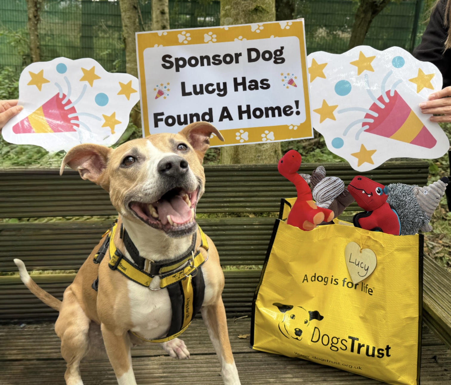 Lucy Longlegs is described as a "beautiful girl".