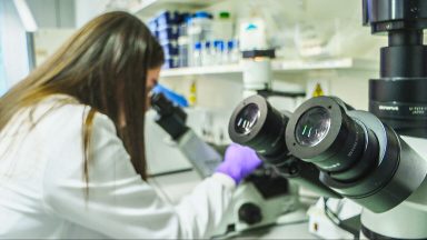 Study of cellular ‘light switches’ could illuminate better cancer care