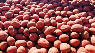 Demand for potatoes drops amid changing eating habits