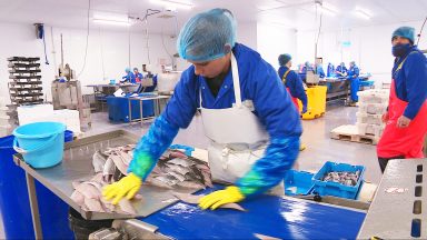 Scottish fishing sector under threat